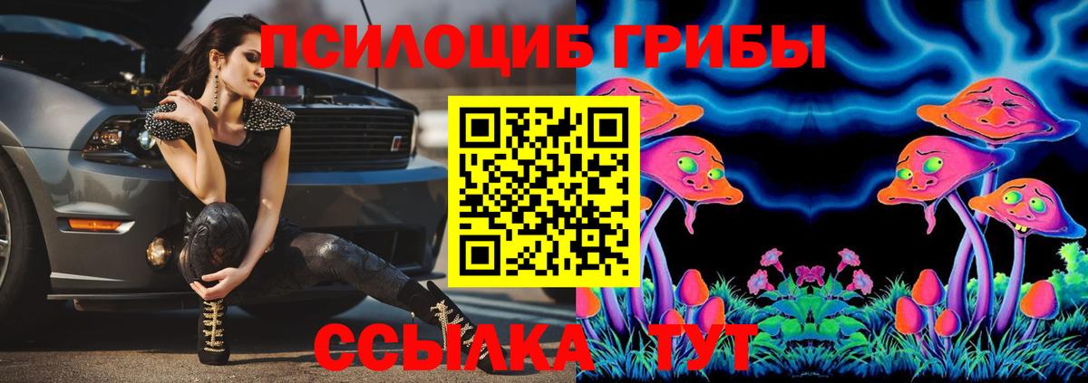 Нерюнгри  Псилоцибиновые грибы ЛСД  Галлюциногенные грибы Cubensis  Вход с VPN 